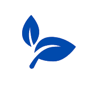 Energy Boost Icon